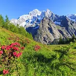 Dolonne - Happy Apartment Courmayeur
