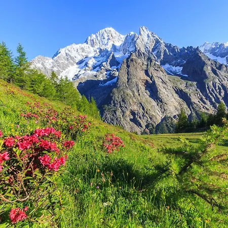 Dolonne - Happy شقة كورمايور