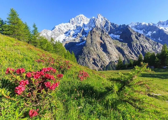 Dolonne - Happy Apartment Courmayeur